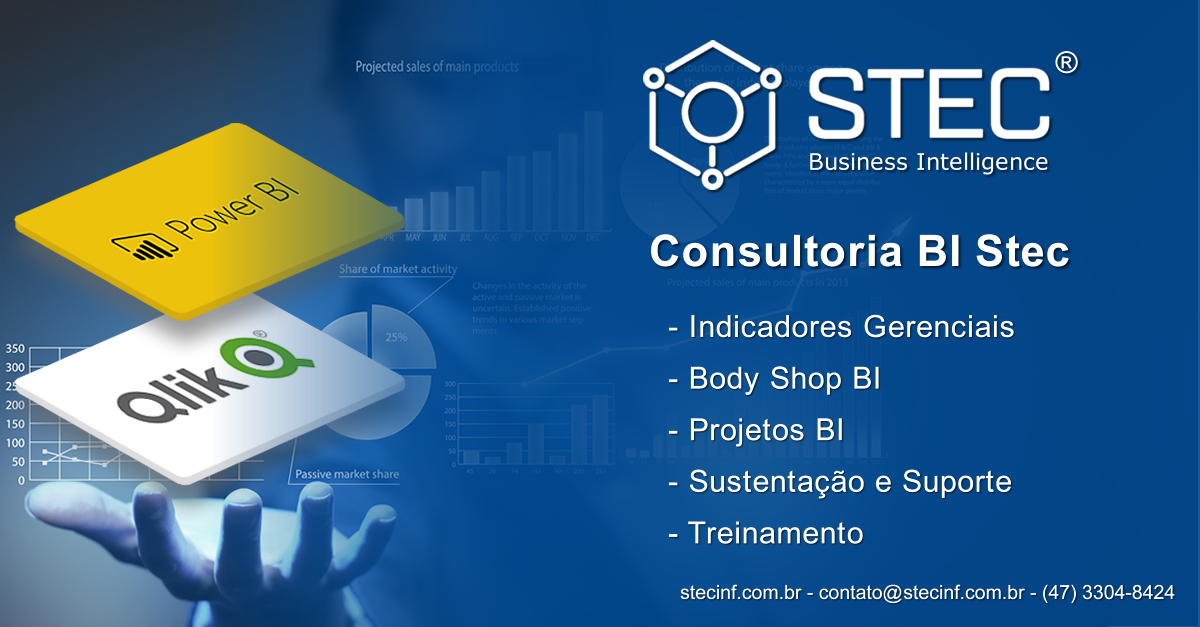 Stec Informatica Ltda